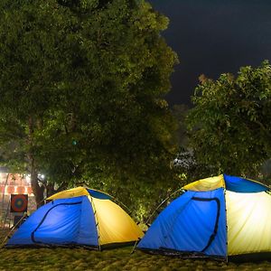Dandeli Tiger Cottages